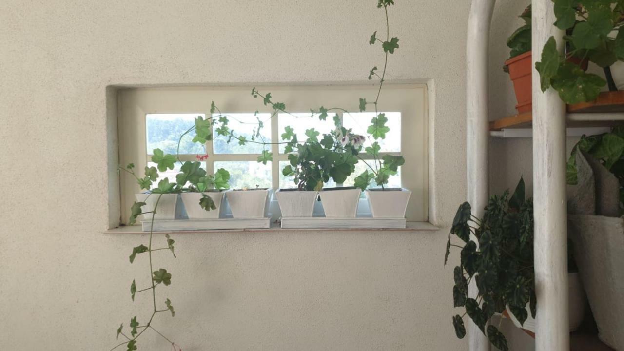 La Curtea Argeseana Apartamento Valea Iasului Exterior foto