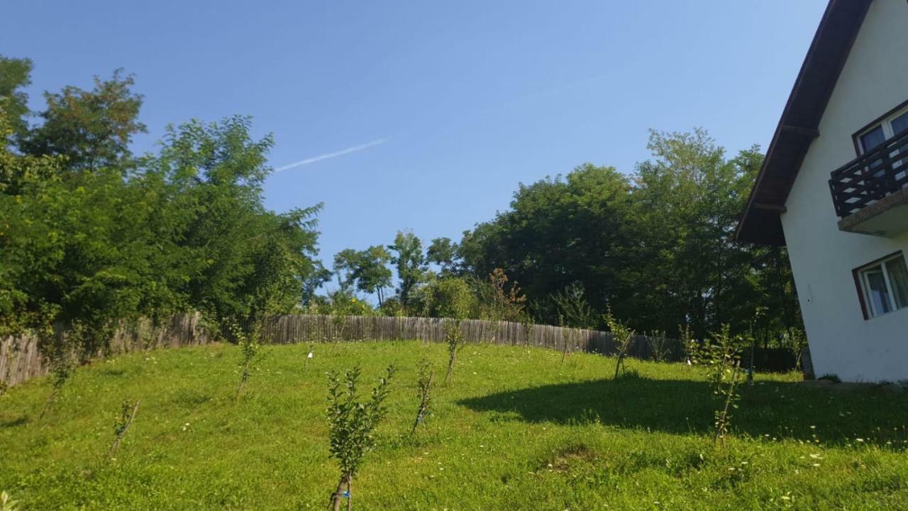 La Curtea Argeseana Apartamento Valea Iasului Exterior foto