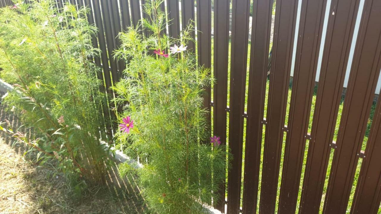 La Curtea Argeseana Apartamento Valea Iasului Exterior foto